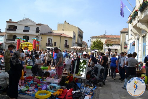 Vide grenier du 14 mai 2015