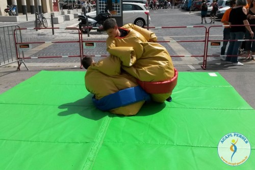 Vide grenier du 14 mai 2015