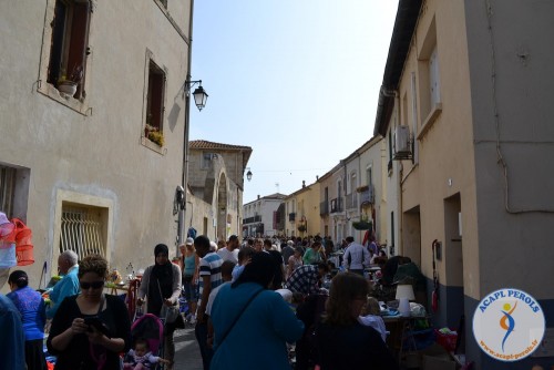 Vide grenier du 14 mai 2015